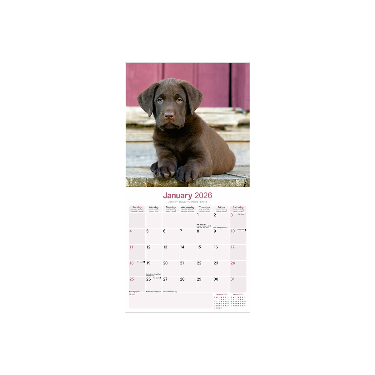 Torchon calendrer 1993 Publcté Home décor deux Chens chasse | eBay