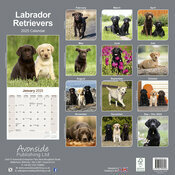 Calendrier Mural 2025 Labradors Retrievers