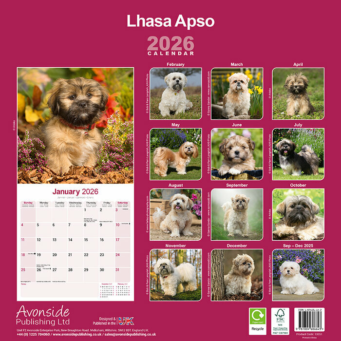 Calendrier papier 2026 Lhassa Apso