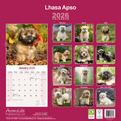 Calendrier papier 2026 Lhassa Apso