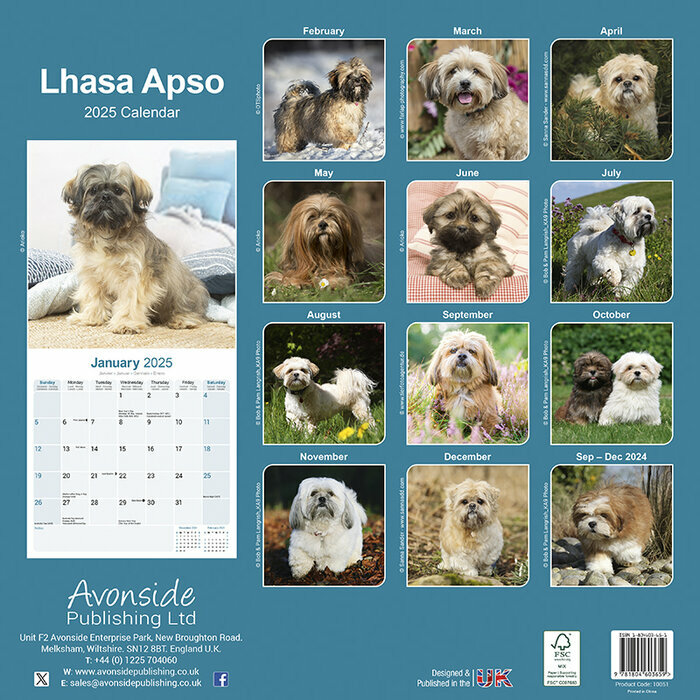 Calendrier Mural 2025 Lhassa Apso
