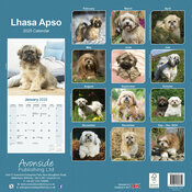 Calendrier Mural 2025 Lhassa Apso
