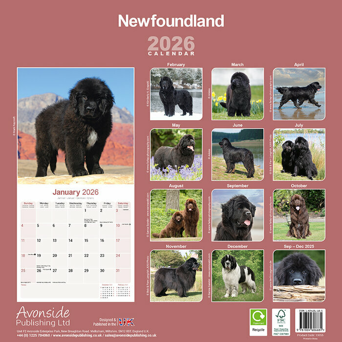 Calendrier 2026 Terre Neuve