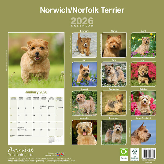 Calendrier papier 2026 Norfolk Terrier