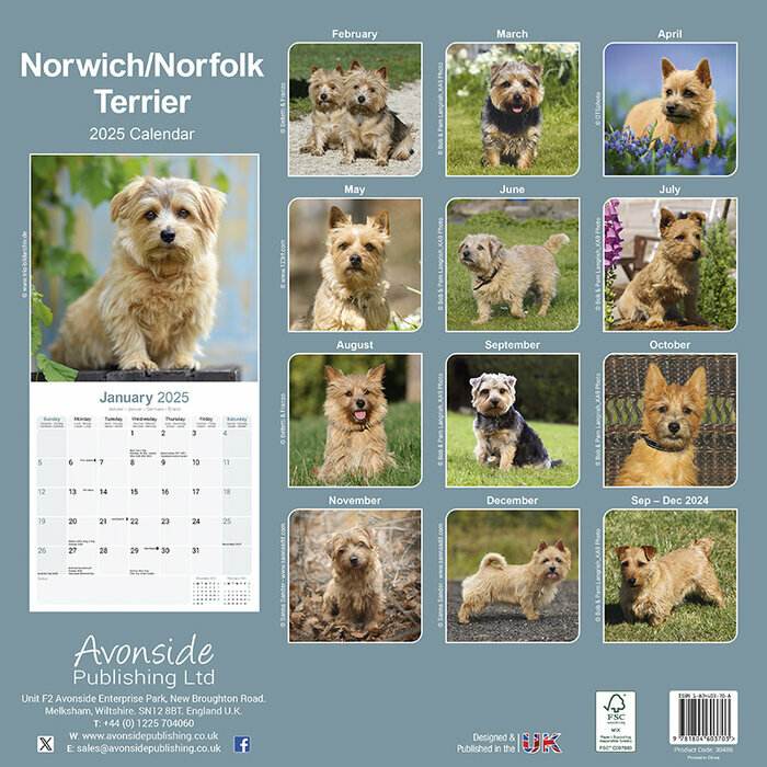 Calendrier Mural 2025 Norfolk Terrier