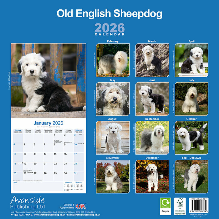 Calendrier papier 2026 Bobtail