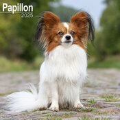 Calendrier Mural 2025 Epagneul Papillon