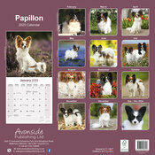 Calendrier Mural 2025 Epagneul Nain Continental