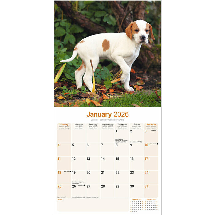 Calendrier Pointer 2026