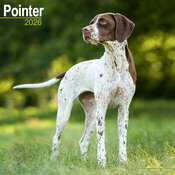 Calendrier Chien de Chasse Pointer 2025