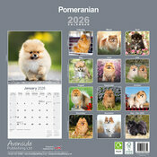 Calendrier Mural Spitz Nain 2026