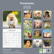 Calendrier Mural Pomeranian Spitz Nain 2025