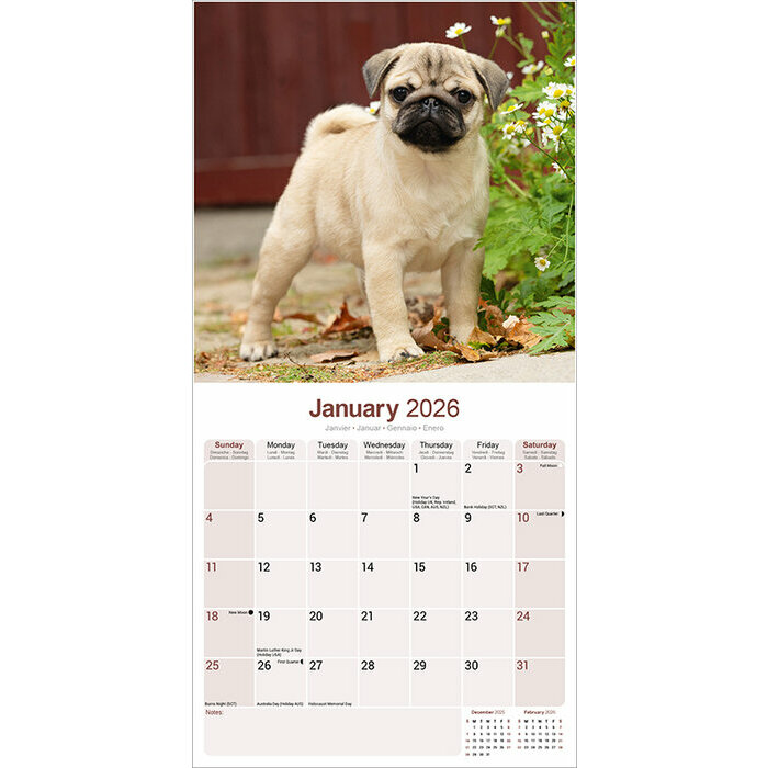 Calendrier Mural 2026 Carlin
