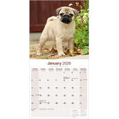 Calendrier Mural 2026 Carlin