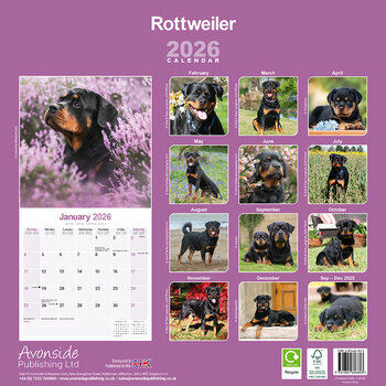 Calendrier 2025 Rottweiler