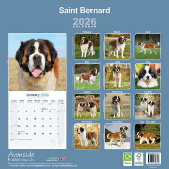 Calendrier 2025 Saint Bernard