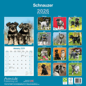 Calendrier 2025 Schnauzer