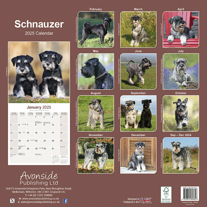 Calendrier Mural 2026 Schnauzer Toutes Tailles
