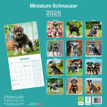 Calendrier 2026 Schnauzer Nain