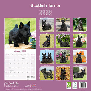 Calendrier 2026 Scottish Terrier