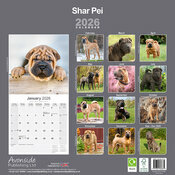 Calendrier papier Shar Pei Mural 2026