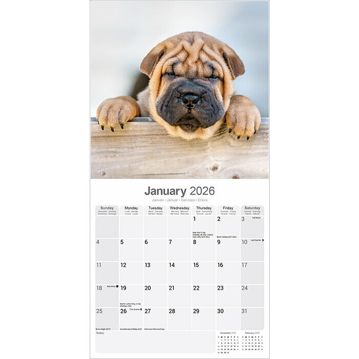 Calendrier mural Shar Pei Mural 2026