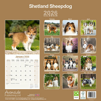 Calendrier 2026 Berger Shetland 