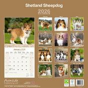 Calendrier Mural Shetland 2026 