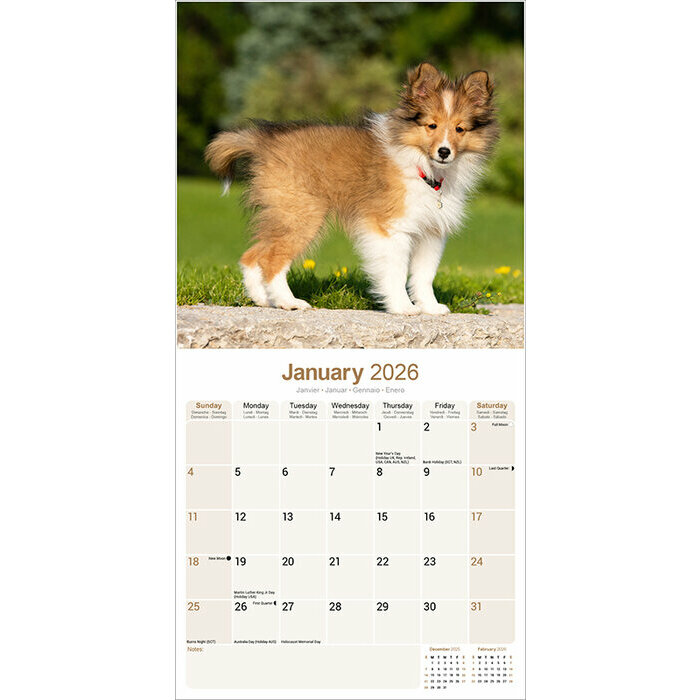 Calendrier papier Shetland 2026