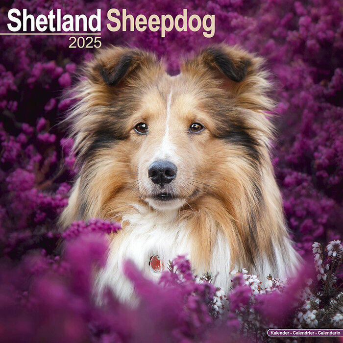 Calendrier Mural Shetland 2025 Fleur