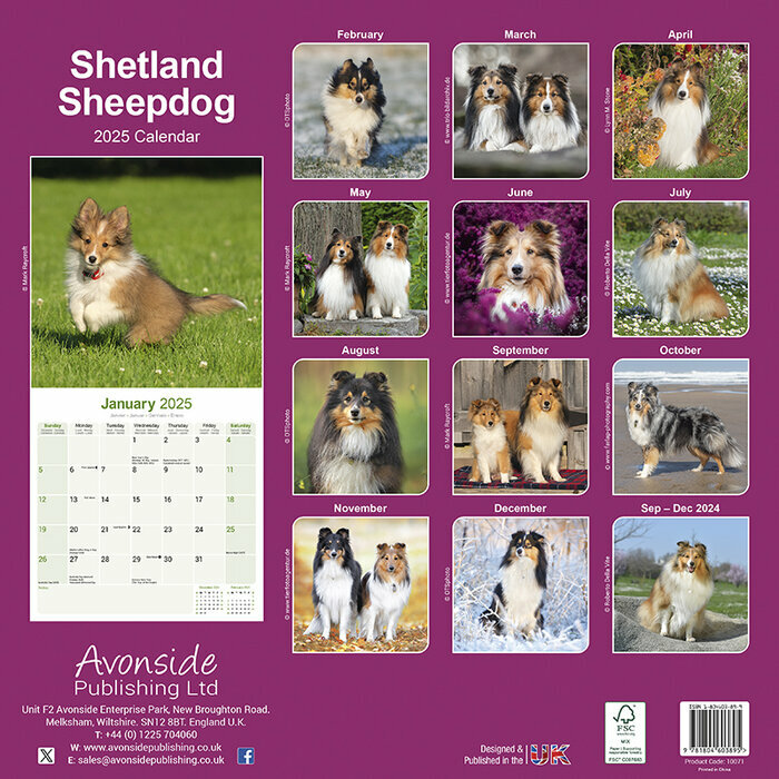 Calendrier Shetland 2025