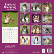 Calendrier Shetland 2025