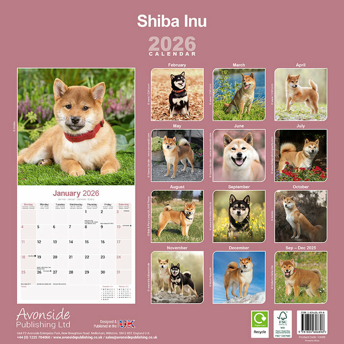 Calendrier Shiba Inu papier 2026