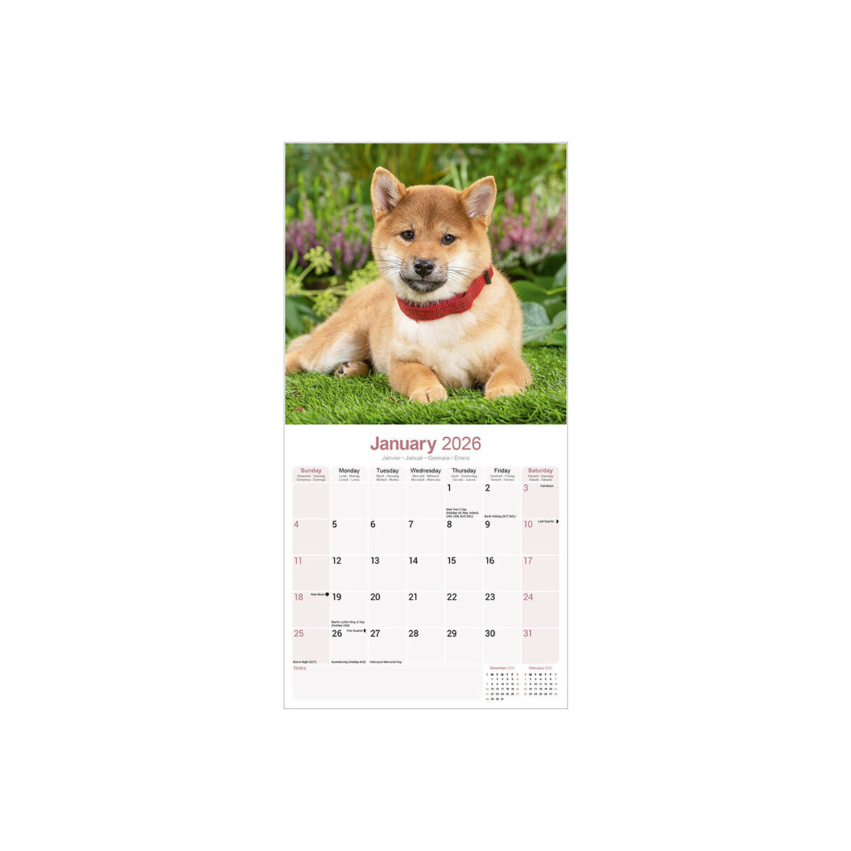 Calendrier Mural 2025 Chien de Race Shiba Inu Chien Japonais