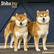Calendrier Shiba Inu Couple 2025