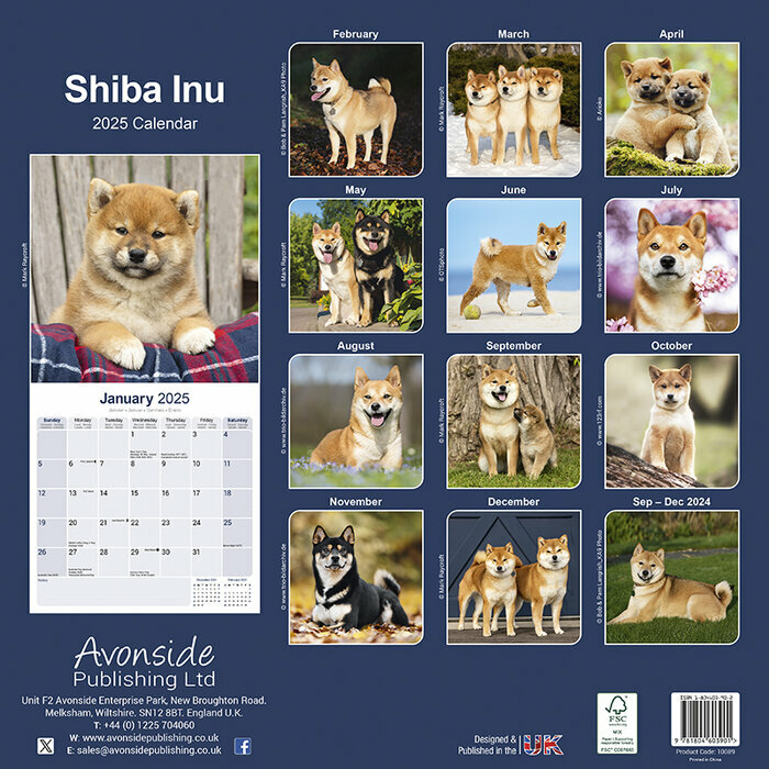 Calendrier Mural 2025 Shiba Inu