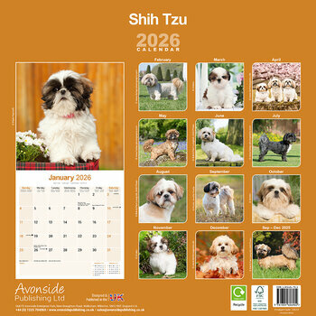 Calendrier 2025 Shih Tzu