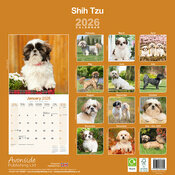 Calendrier Mural 2025 Shih Tzu