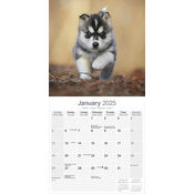 Calendrier Chiot Husky 2025