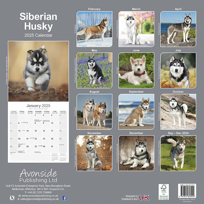 Calendrier Mural 2025 Siberian Husky