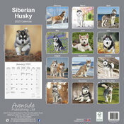 Calendrier Mural 2025 Siberian Husky
