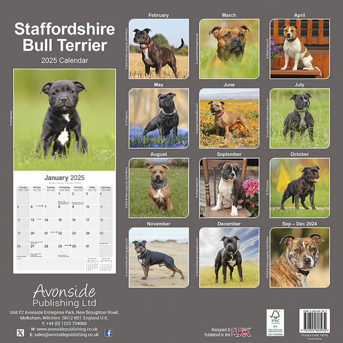Calendrier Mural 2025 Staffordshire Bull Terrier