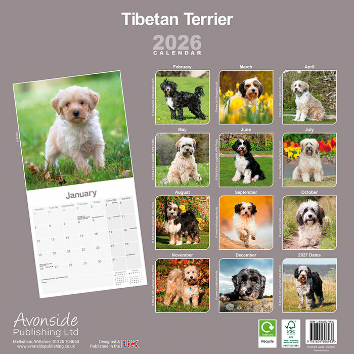 Calendrier papier 2026 Terrier Tibtains