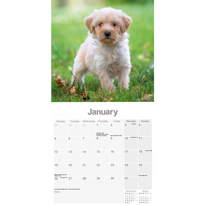 Calendrier 2026 Terrier Tibtains