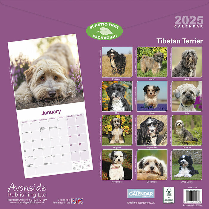 Calendrier Mural 2025 Terrier Tibtains