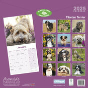 Calendrier Mural 2025 Terrier Tibtains