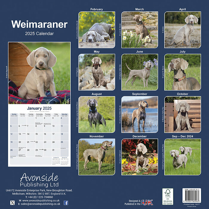 Calendrier Weimar Braque Mural 2025