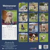 Calendrier Weimar Braque Mural 2025