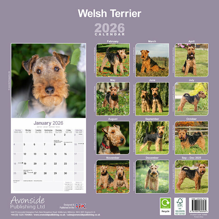 Calendrier papier 2026 Welsh terrier
