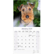 Calendrier Couple Welsh Terrier 2025